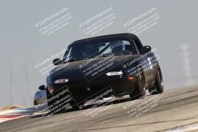 media/Jul-26-2025-Speed Ventures (Sat) [[fe569e6cf0]]/Purple Group/Grapevine/